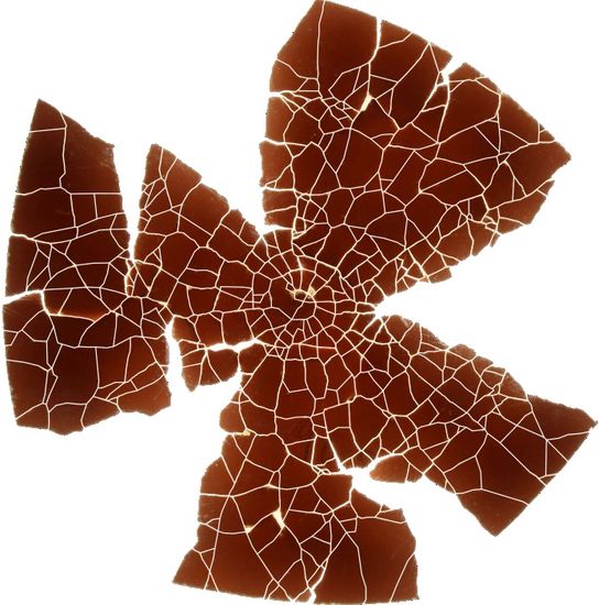 Braun-wei&szlig;e Fragmente