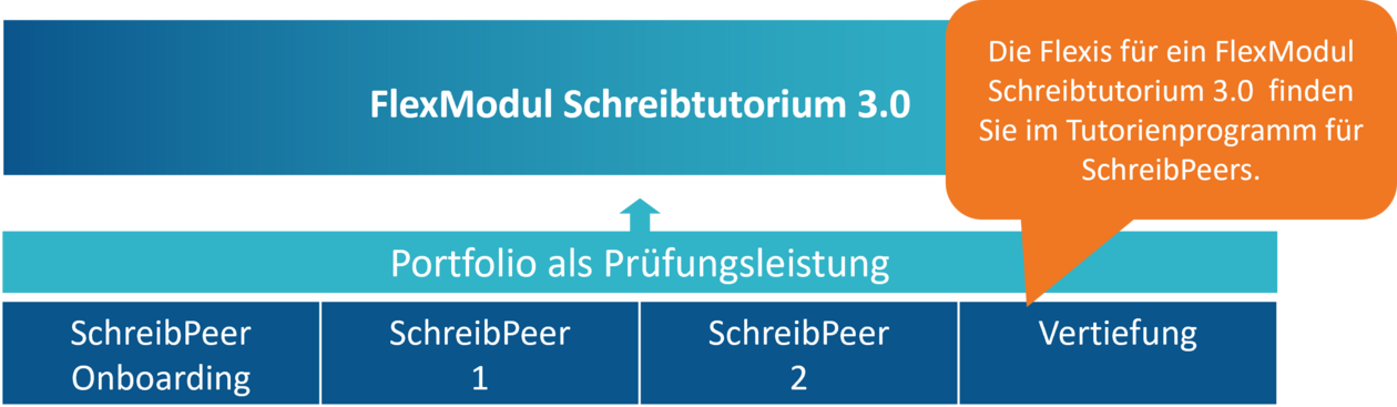FlexModul SchreibPeers FlexModul SchreibPeers