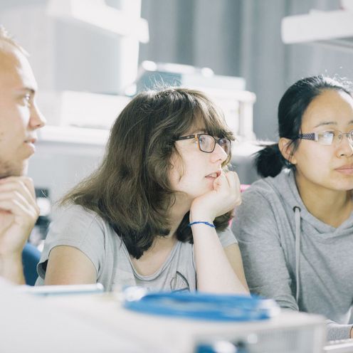 Studierende in einem Labor blicken auf einen Monitor.