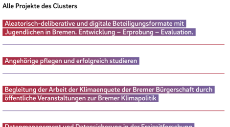 Screenshot Plug-In mit Forschungsprojekten eines Forschungsclusters