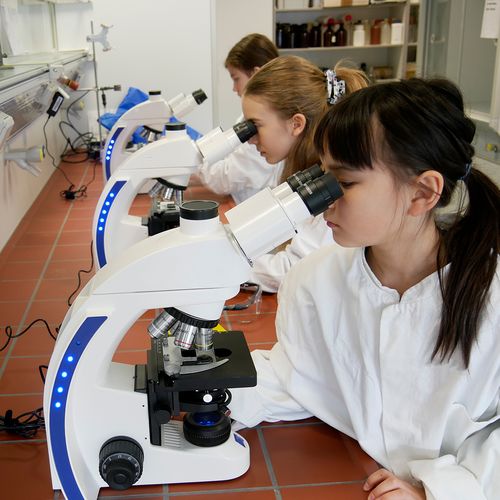 Drei M&auml;dchen sitzen an einem Tisch in einem Labor und bauen etwas mit kleinen R&auml;dern.