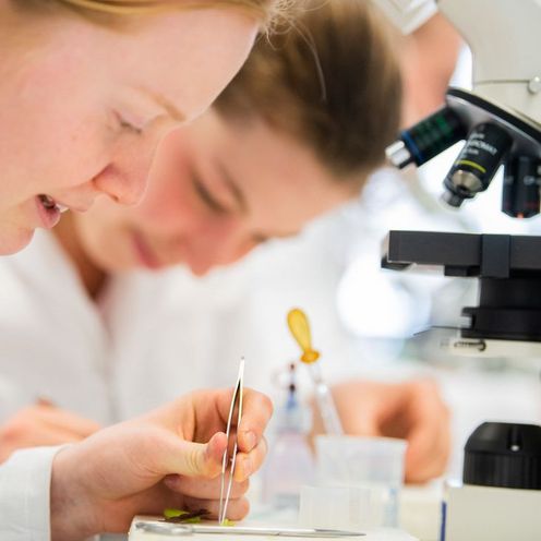 Studierende bei Laborarbeiten.