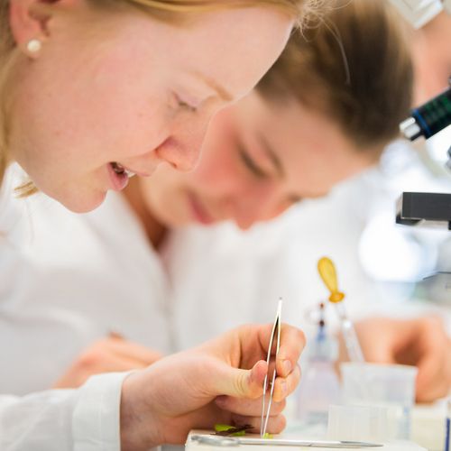 Studierende bei Laborarbeiten.