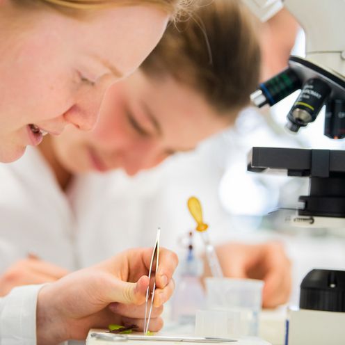 Studierende bei Laborarbeiten.