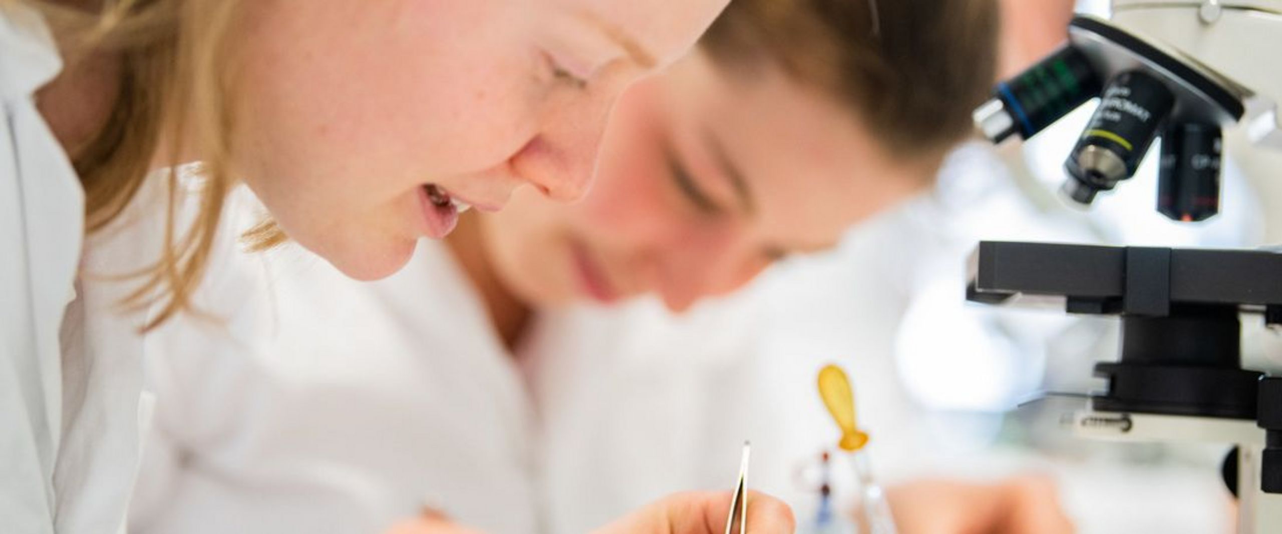 Studierende bei Laborarbeiten.