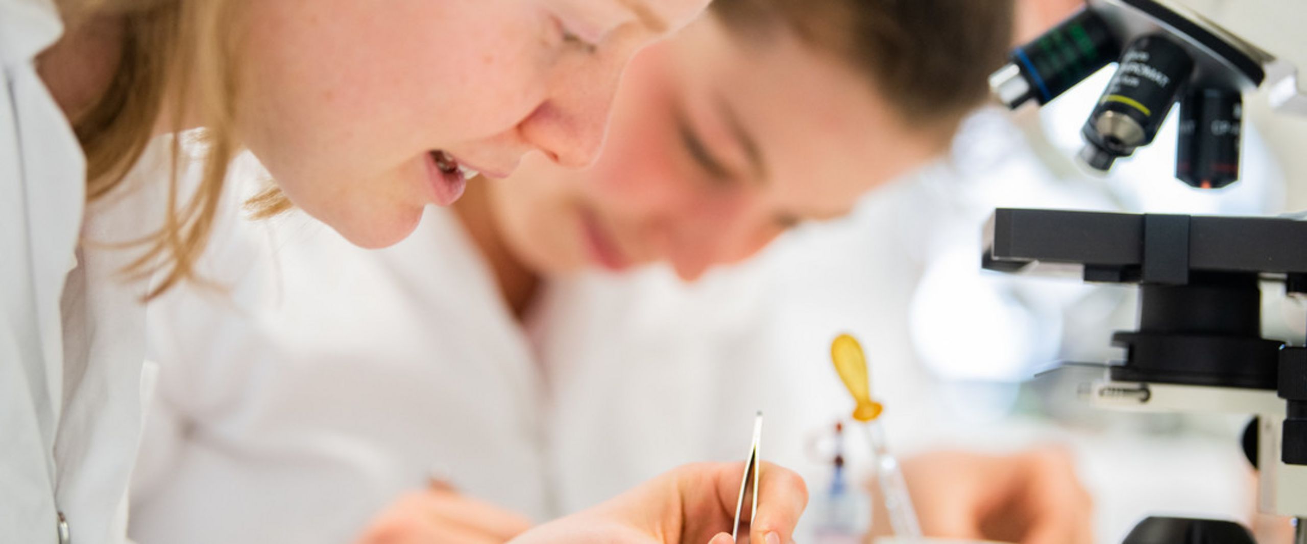 Studierende bei Laborarbeiten.