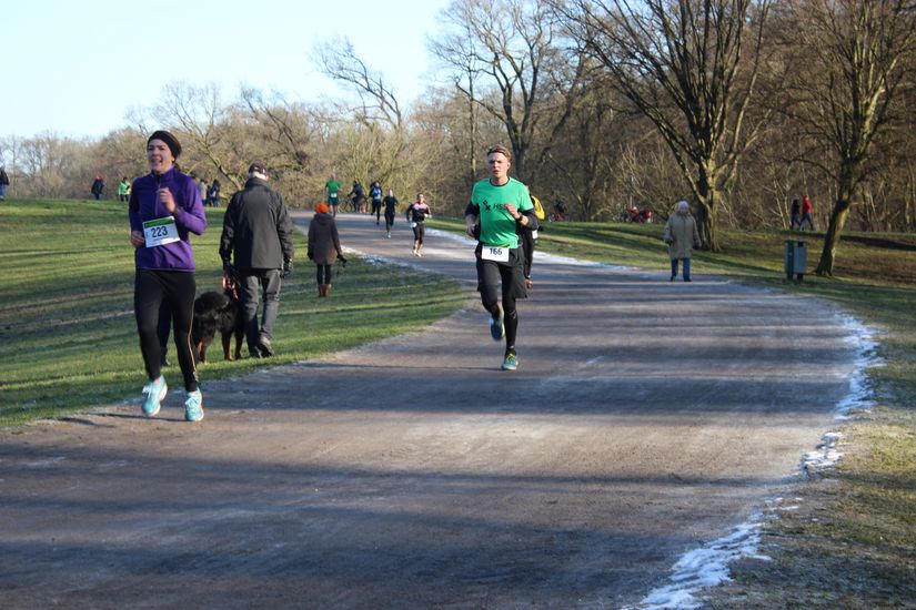 Mehrere L&auml;ufer laufen die Wegstrecke entlang.