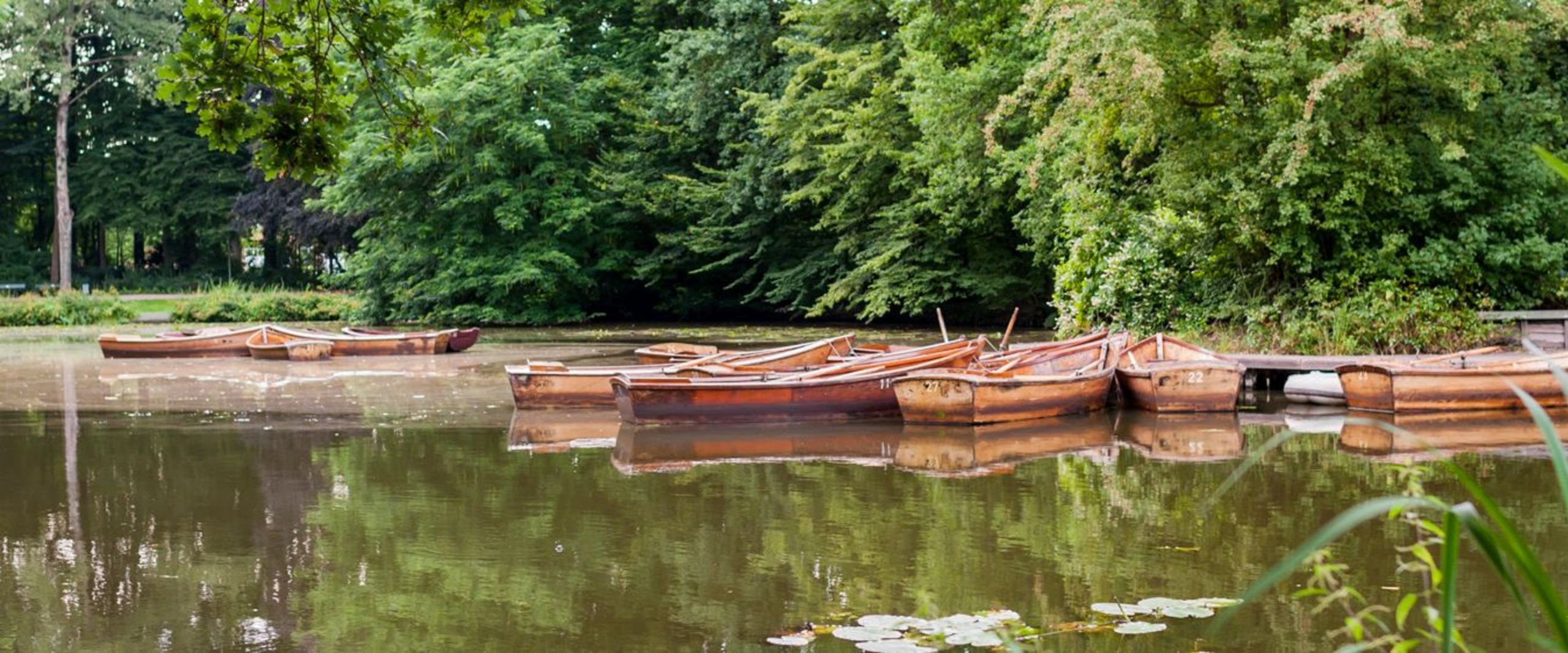 Blick auf ein Gewässer im Bürgerpark Bremen