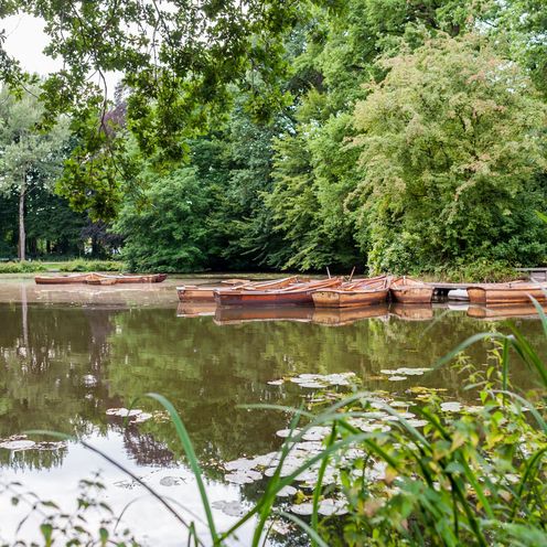 Blick auf ein Gew&auml;sser im B&uuml;rgerpark Bremen