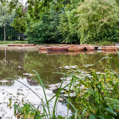 Blick auf ein Gew&auml;sser im B&uuml;rgerpark Bremen
