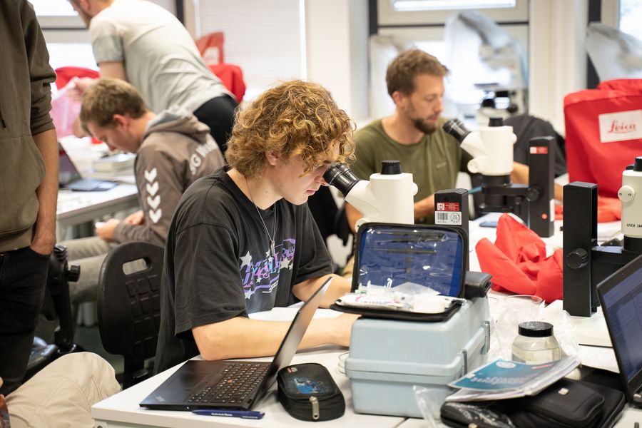Studierende im Feldlabor auf der Helgolandexkursion. Ein aufgeklappter Laptop steht im Vordergrund, daneben ein Pr&auml;parationsset. Im Mittelgrund sitzen zwei Studierende, die jeweils in ein Mikroskop schauen. Im Hintergrund mit dem R&uuml;cken zugewandt stehen und sitzen weitere Studierende, die mit Laborarbeit besch&auml;ftigt sind.