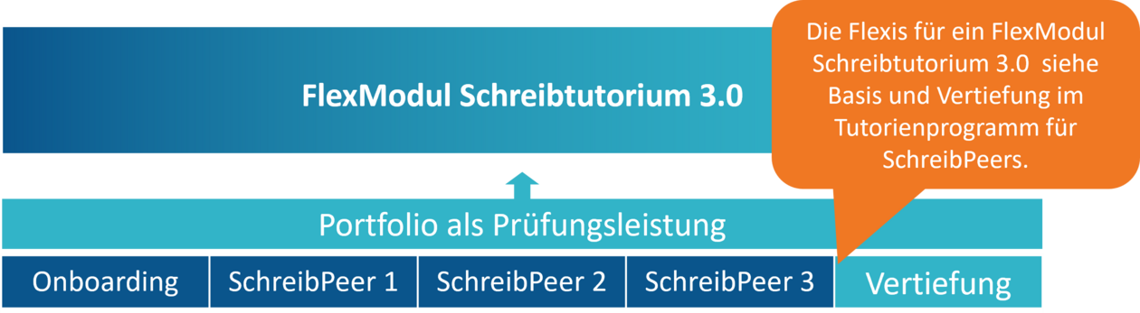 FlexModul SchreibPeers FlexModul SchreibPeers