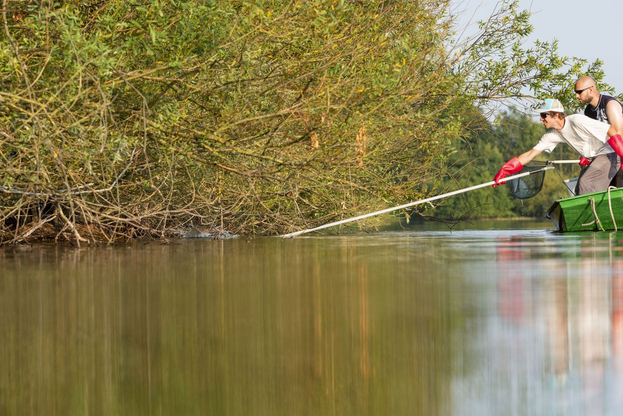 Menschen im Boot auf einem See am Rande eines Ufers. Sie fischen im Wasser.