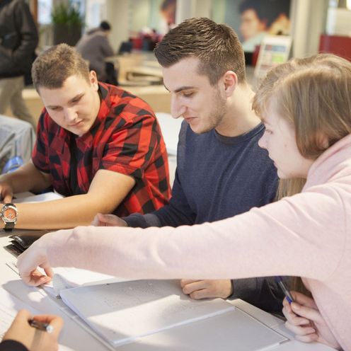 Eine Gruppe Studierender lernt gemeinsam in der Mensa.