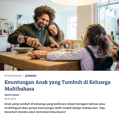 Vorschau der Website hinter dem Link