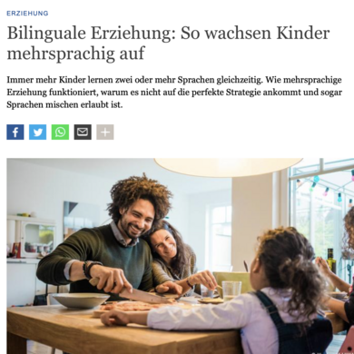 Vorschau Website zum Artikel